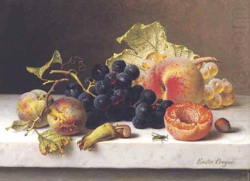 Grapes peaches and plums on a marble ledge, Johann Wilhelm Preyer